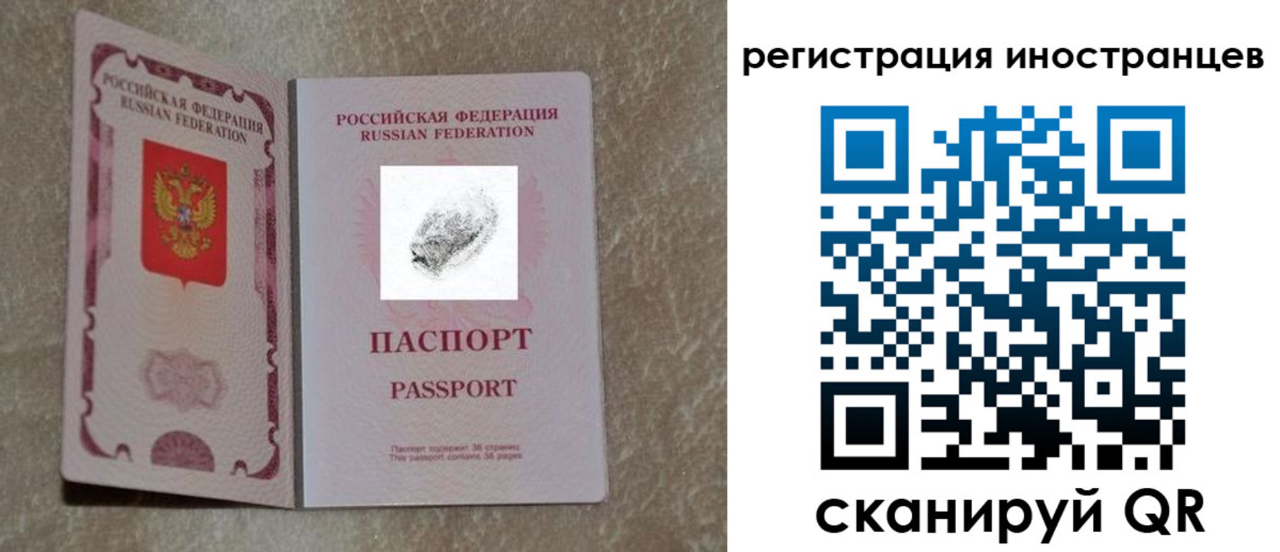 прописка законно в Владимире
